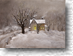 Inviting Warmth 445